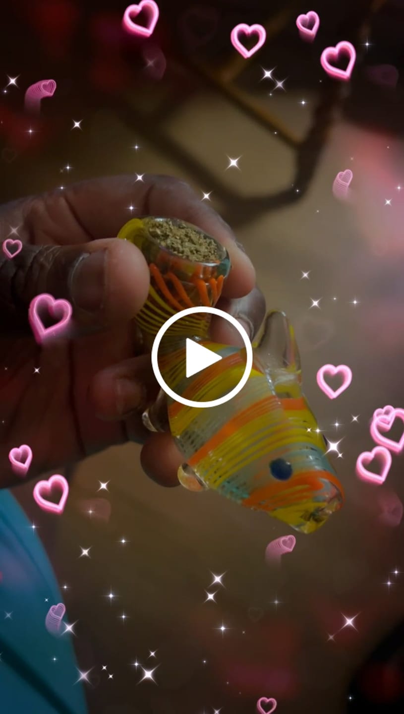 Customer video review of Blueberry Muffin | Exotic | Hybrid