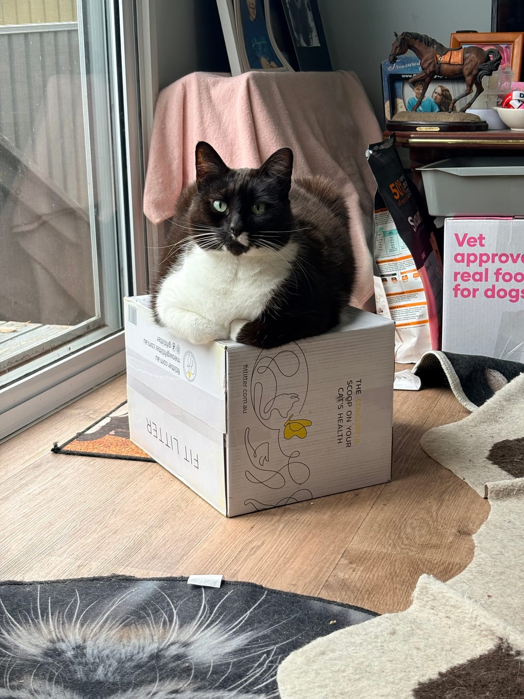 Customer photo review of Fit Litter