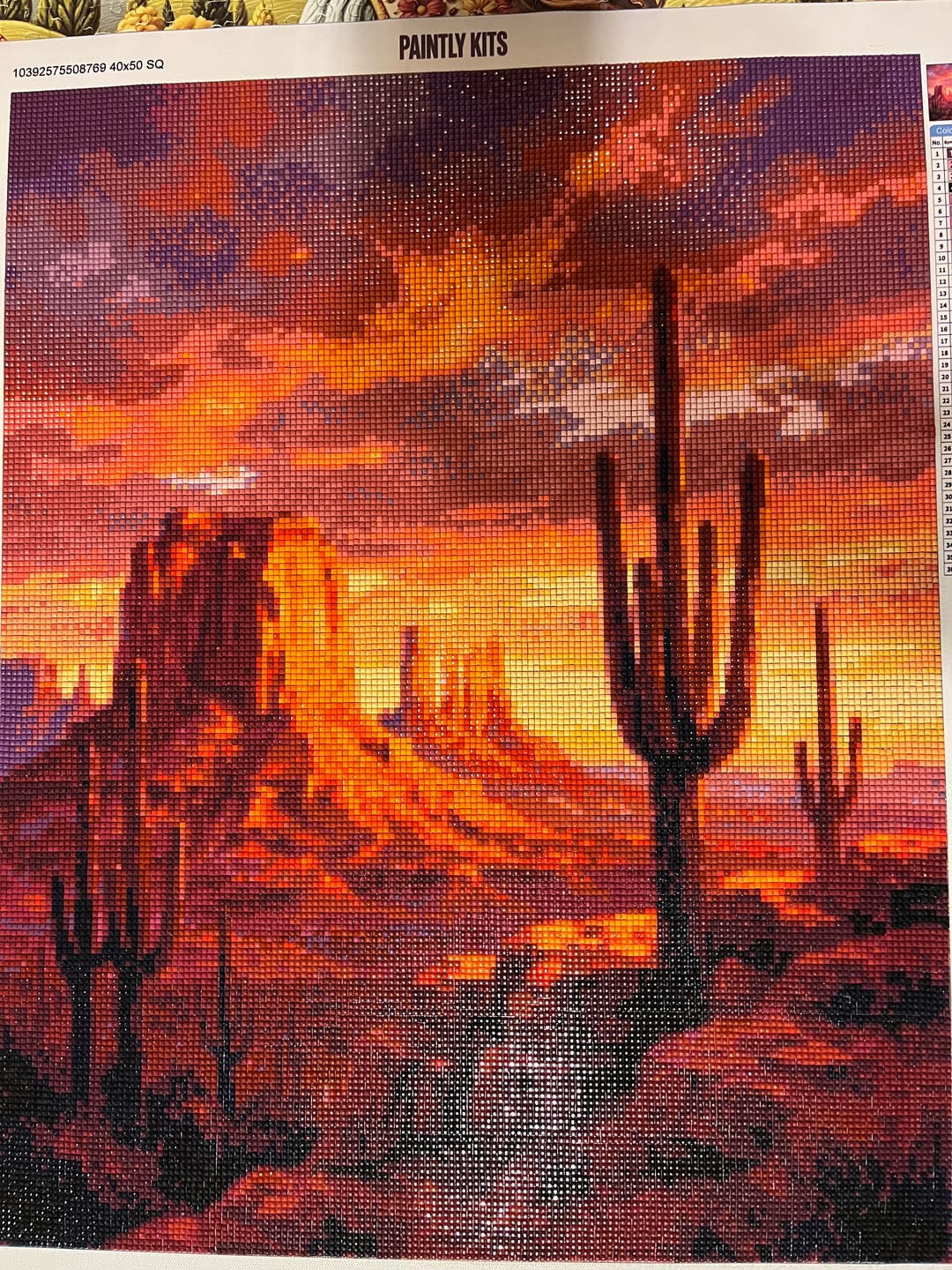 Customer photo review of Red Desert Mesa Sunset Cactus (Diamond Painting)
