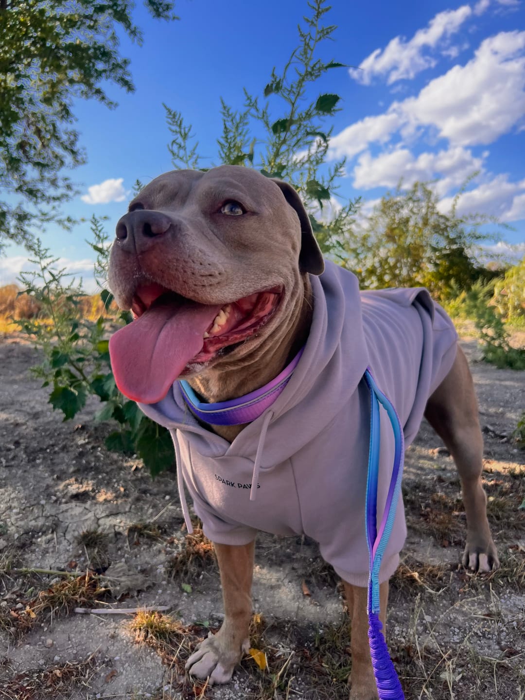 Customer photo review of Essential Human Hoodie - Clay