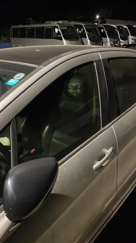 Customer photo review of SpookSeat™ Spooky Car Headrest Covers