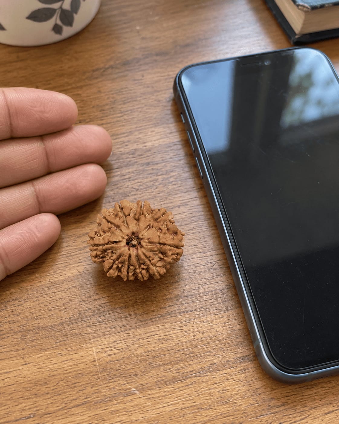 Customer photo review of 10 Mukhi Rudraksha (Nepali)