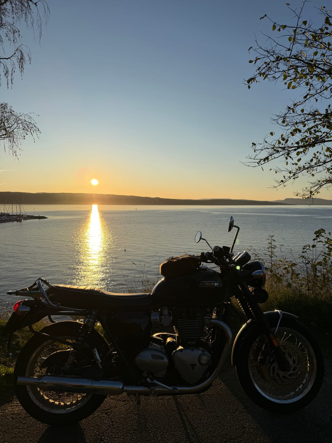 Customer photo review of Tank & Tail Bag