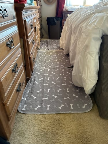 Tapetes SniffPad extendidos en la recámara, a lo largo de la cama y la cómoda