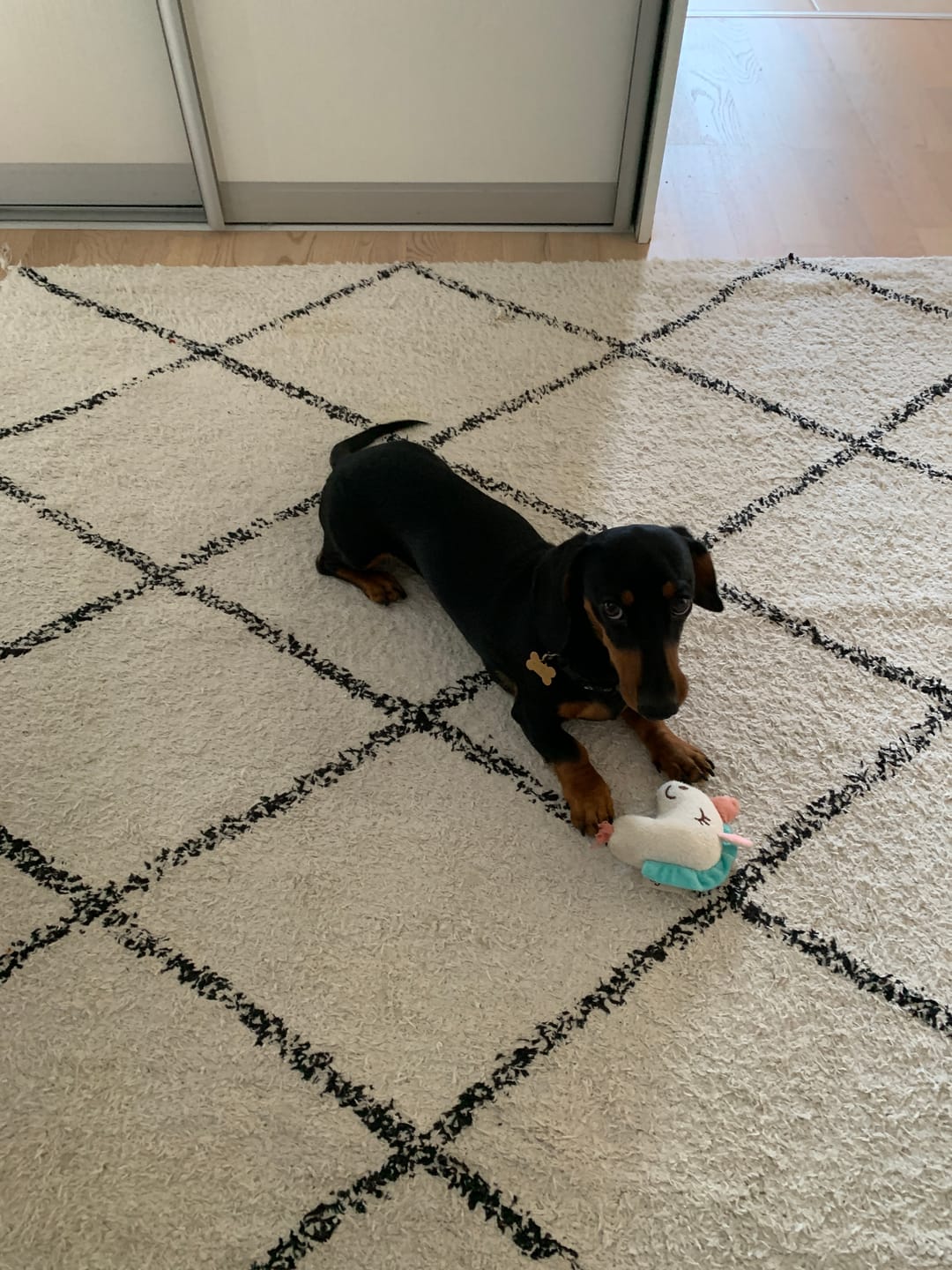 Customer photo review of Little Buddy - 3-pak Legetøjspakke