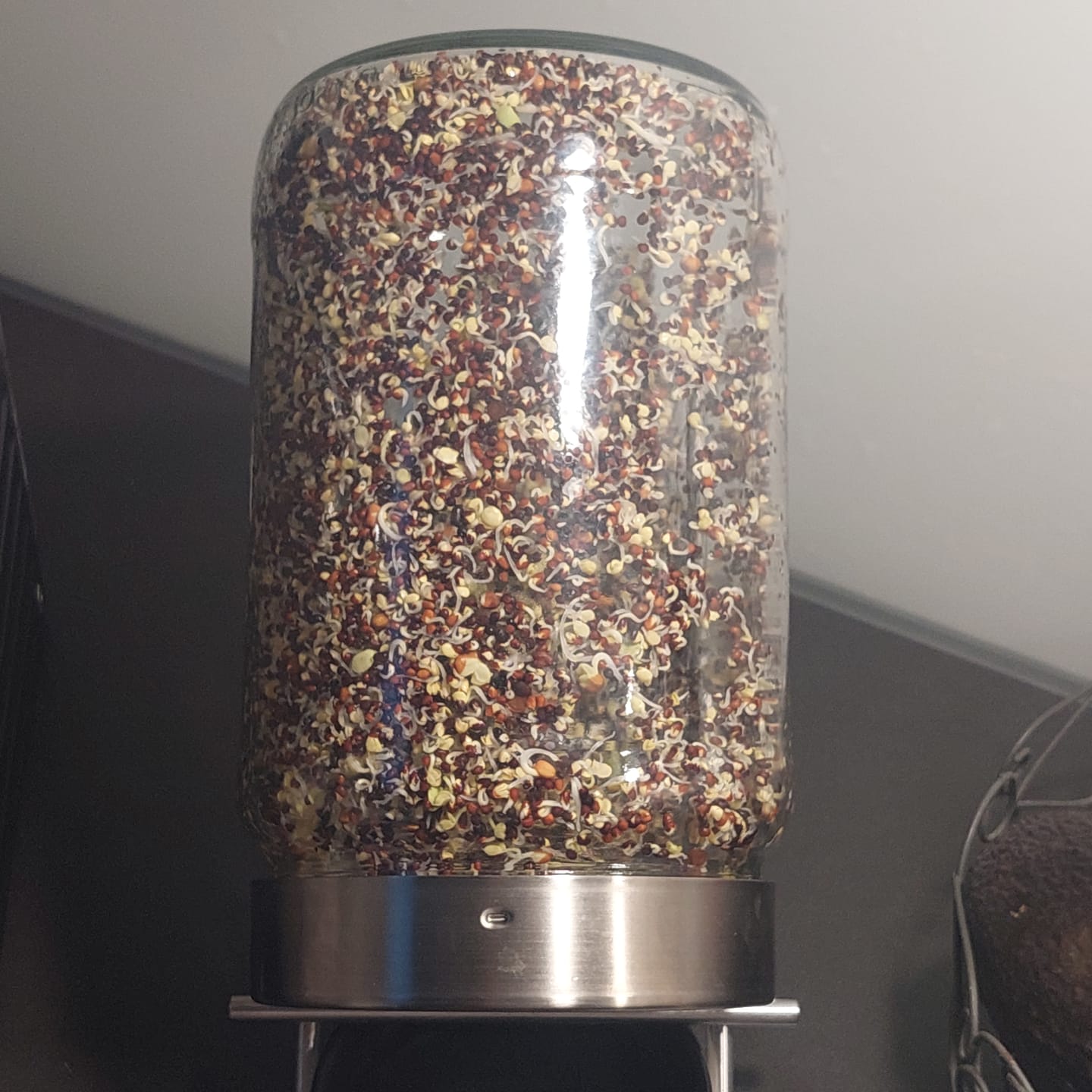 Customer photo review of Starterpaket: The Way We Grow™ System