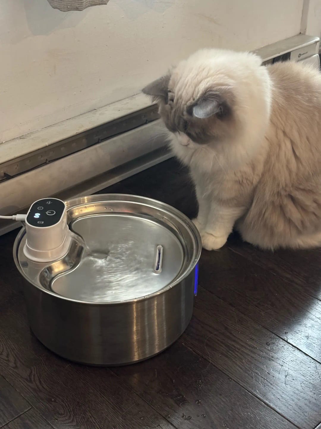 Customer photo review of 3.2L AC Powered Whisker Co Drinking Fountain