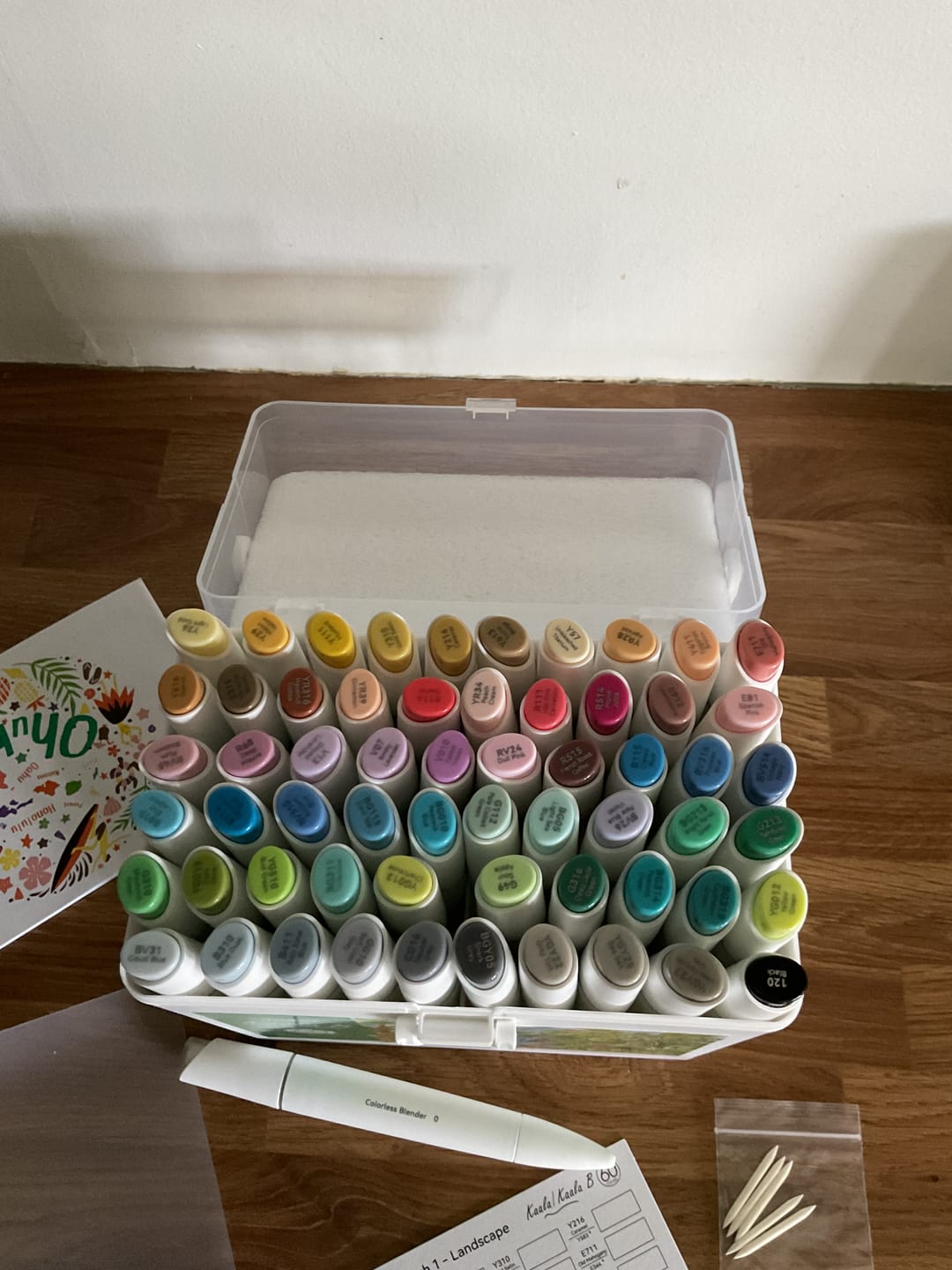 Customer photo review of Ohuhu Kaala B Dual Tips Alcohol Art Markers, Slim Broad & Mini Brush (New Color Codes)