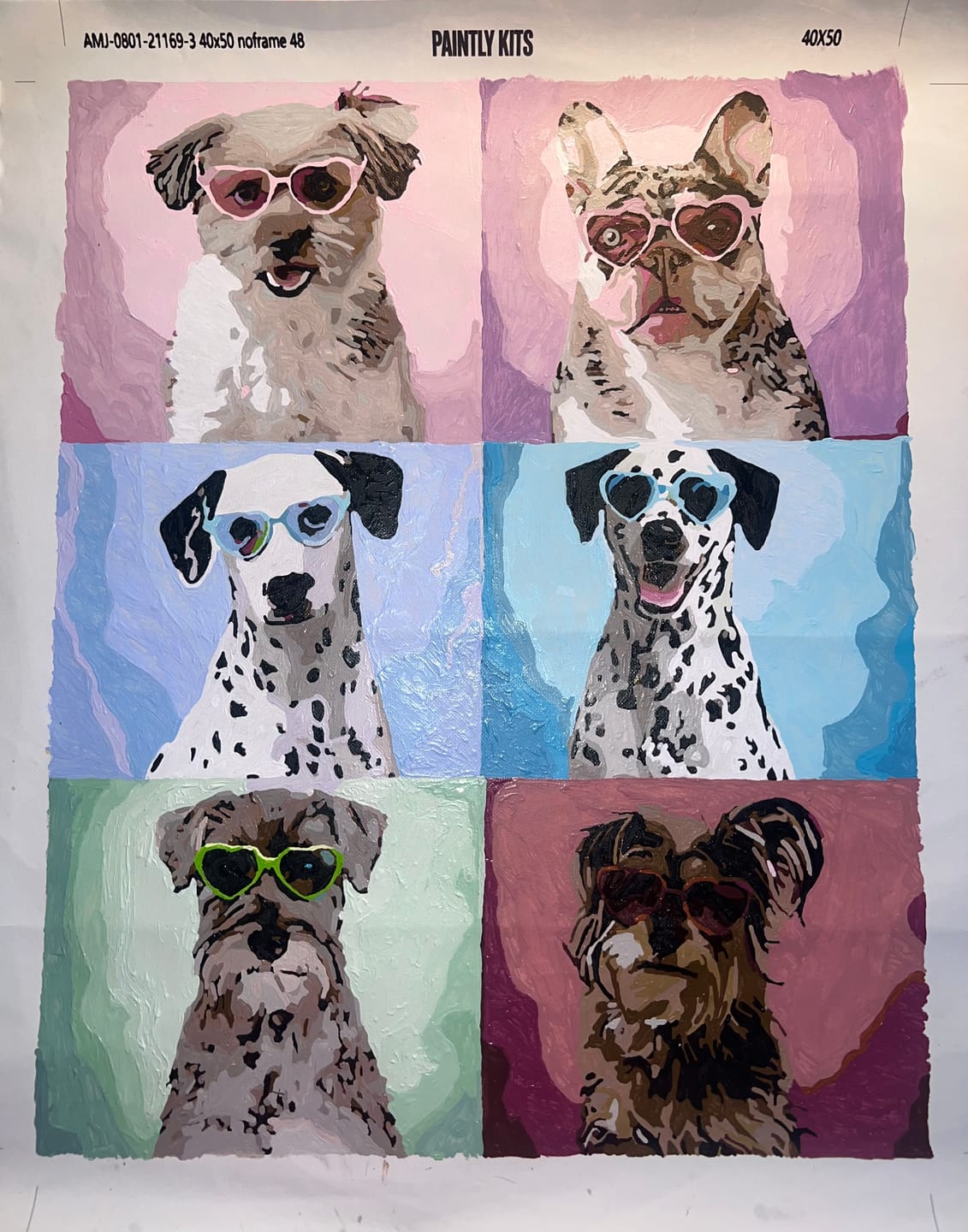 Customer photo review of Pet Custom Paint by Numbers