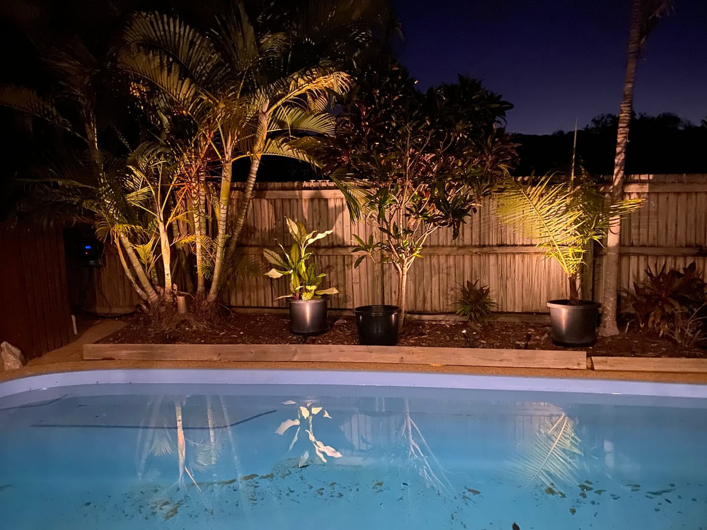 Customer photo review of GardenBrite™ Solar Spotlight Pack
