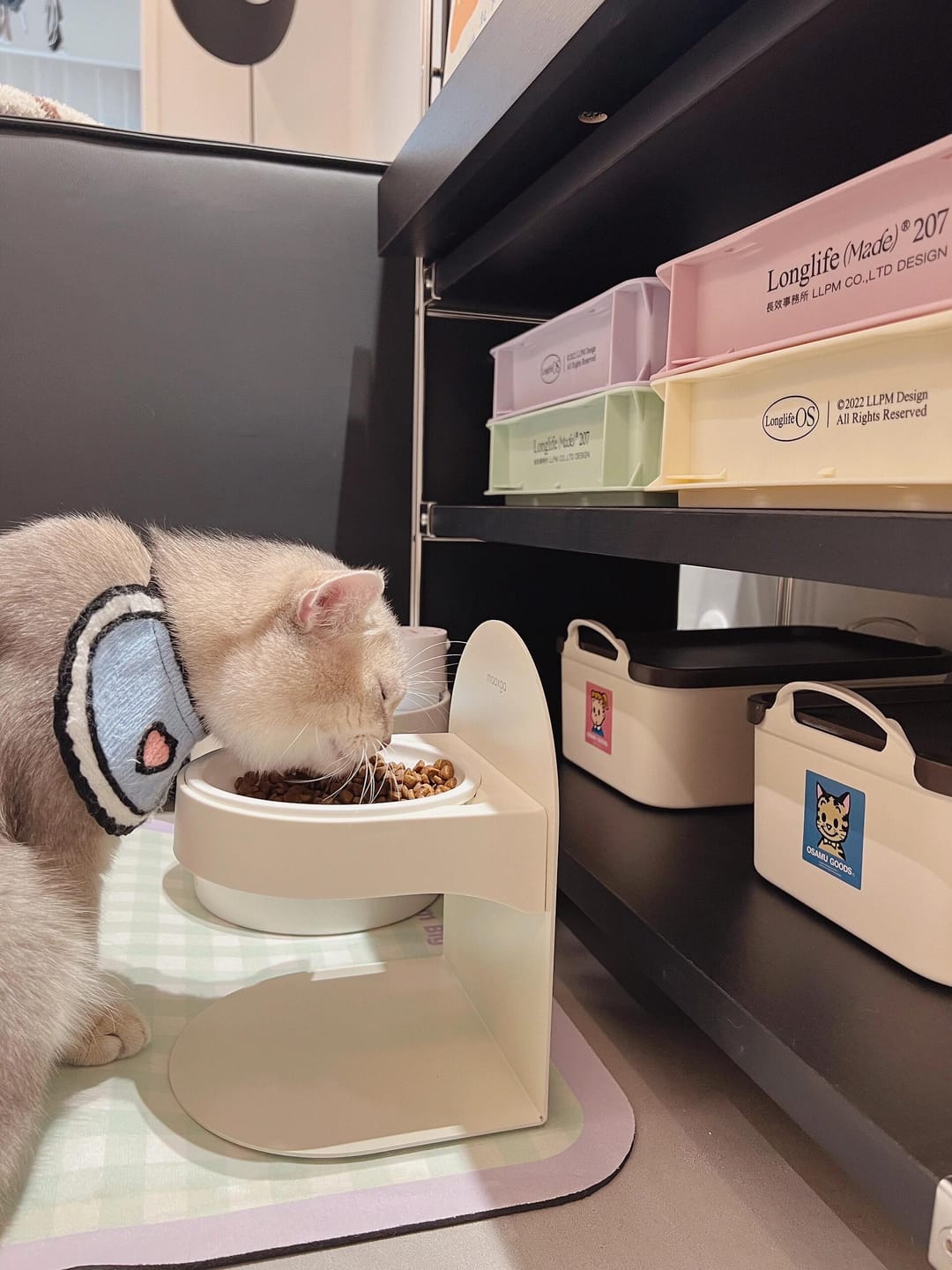 Customer photo review of Pawtique FlexDine™ Adjustable Elevated Ceramic Cat Bowl