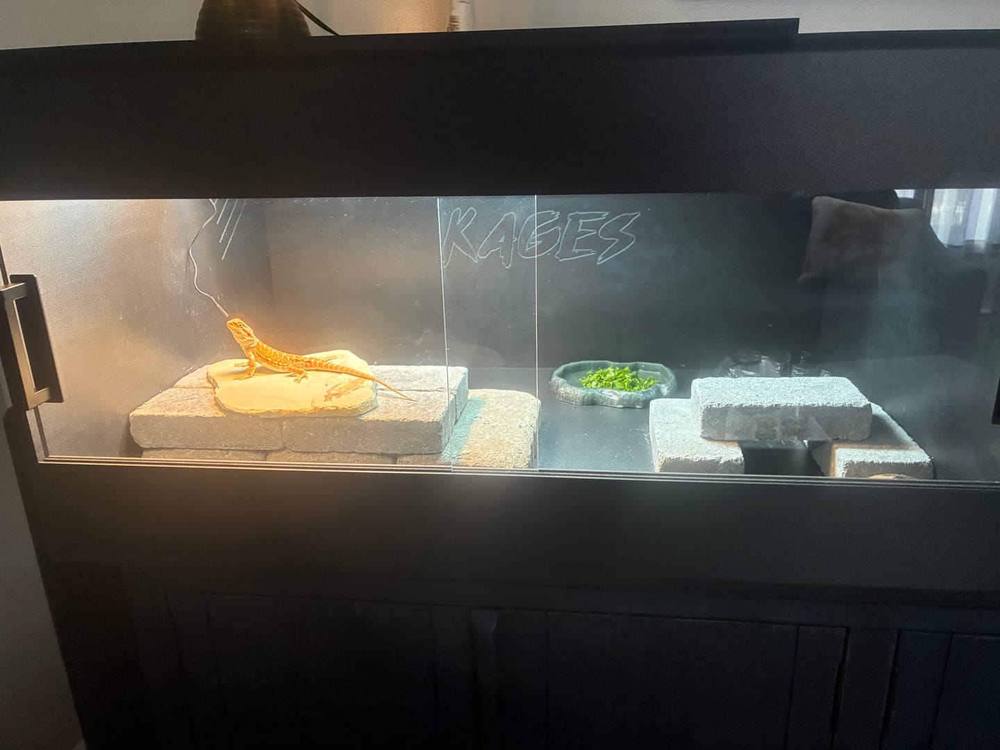 Customer photo review of 36"x24"x18" Premium PVC Reptile Enclosure