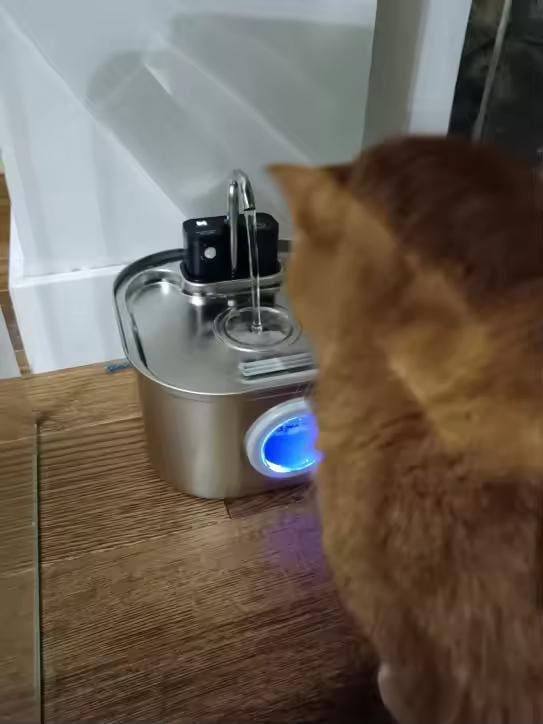 Customer photo review of Purecat Bron UV 4 L
