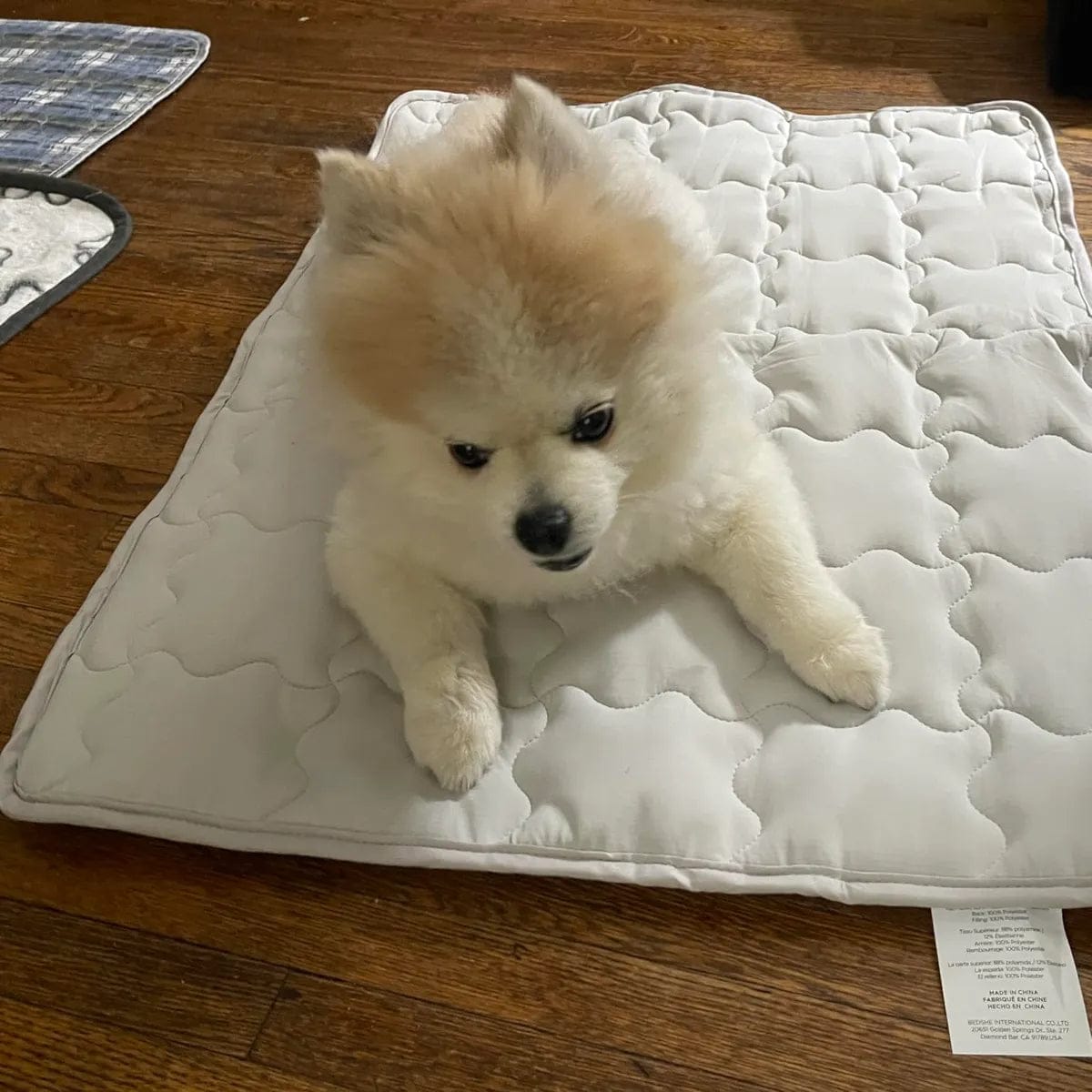 Customer photo review of Dog Cooling Mat