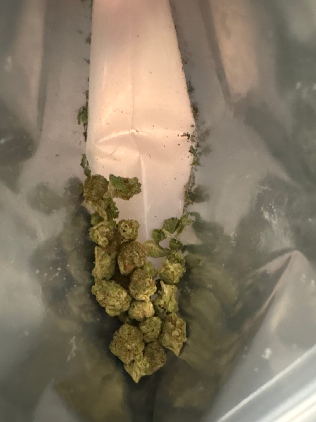 Customer photo review of Ghost OG - Exotic Smalls