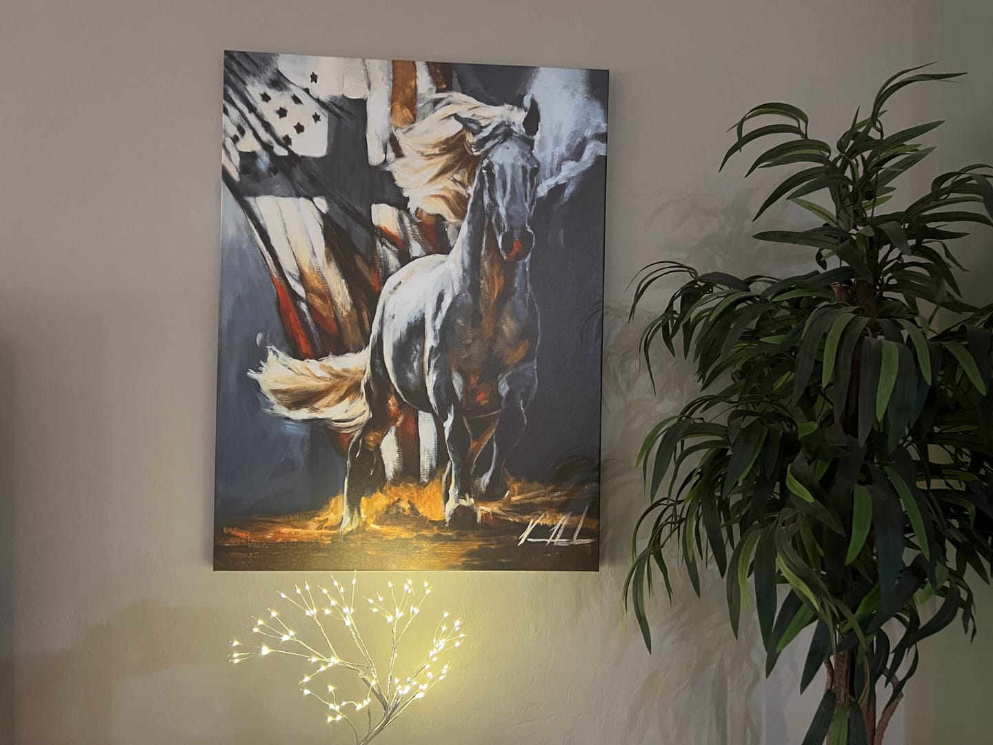 Customer photo review of Land of the Free