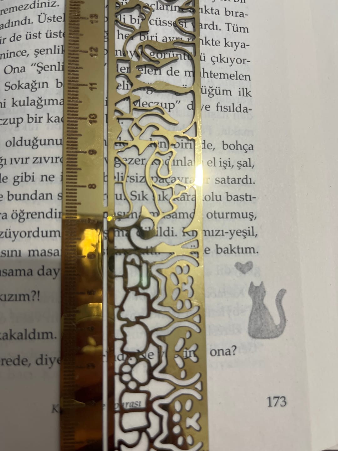 Customer photo review of Kedi Kitap Ayracı