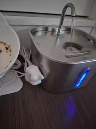 Customer photo review of Purecat Bron UV 4 L