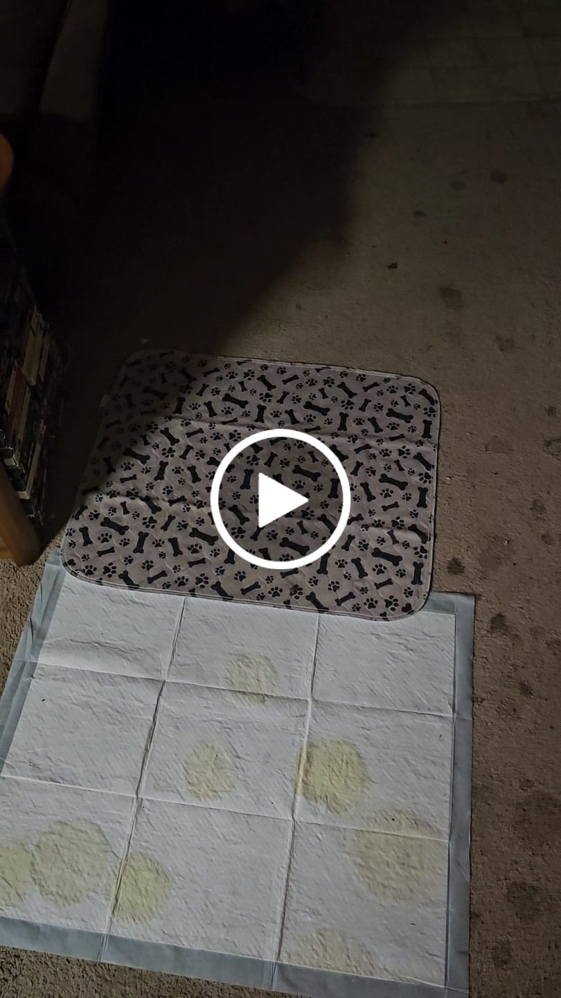 Customer video review of 3 PUP PADS