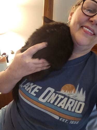 Customer's Lake Ontario Retro Stripe T-Shirt, worn by a person holding a cat.