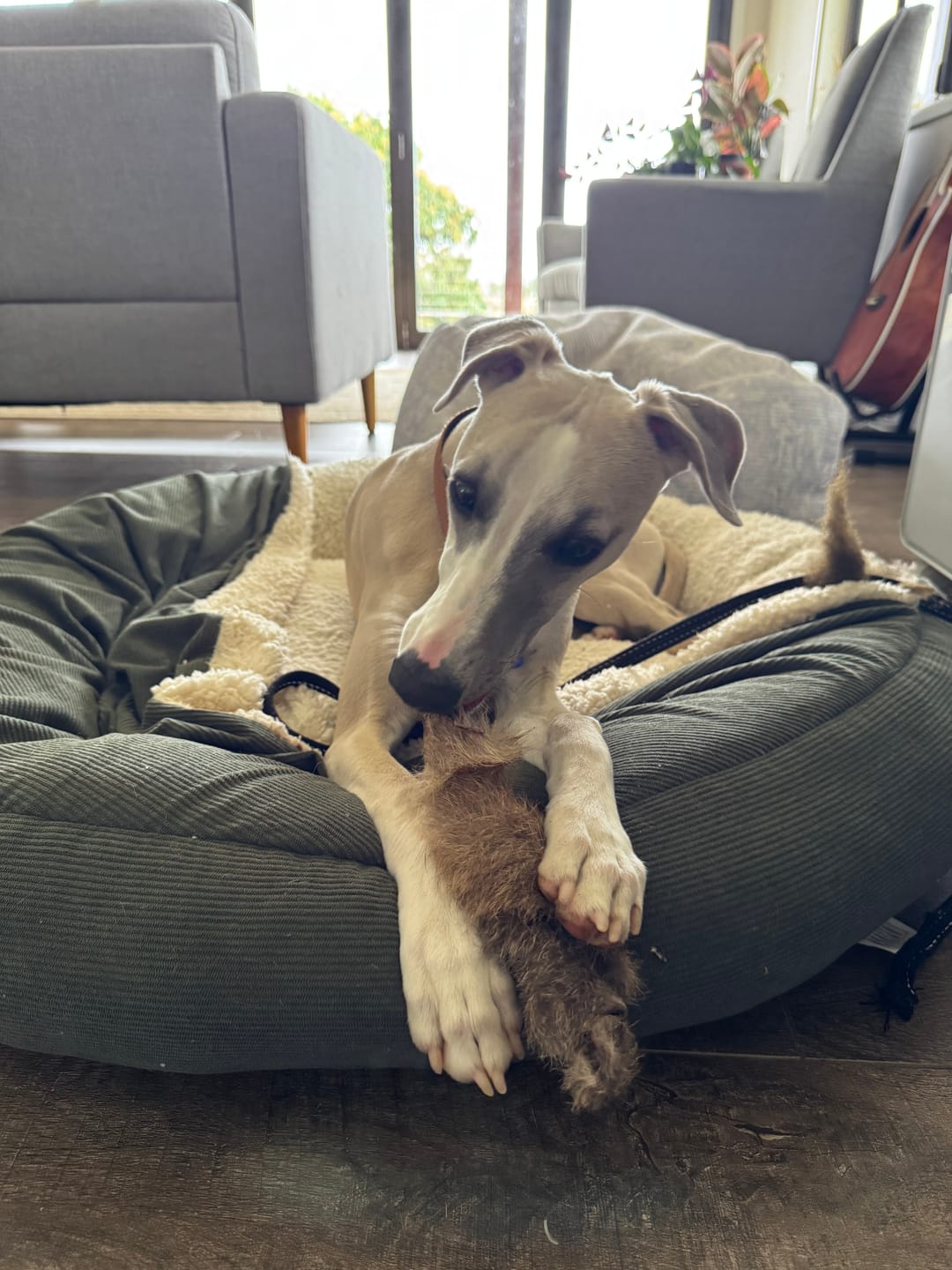 Customer photo review of Roo Skin Twists W/fur