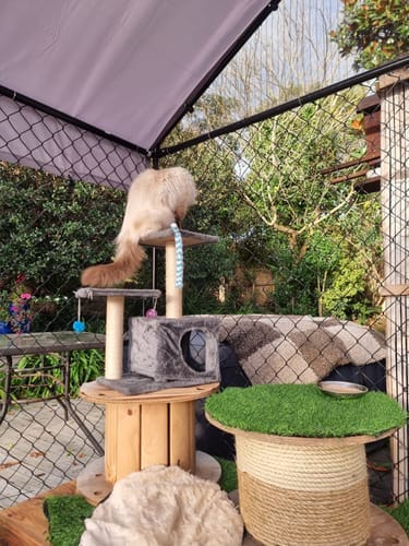 Customer photo review of Aegis Outdoor Dog Run With Roof Cover - 196x196x230cm
