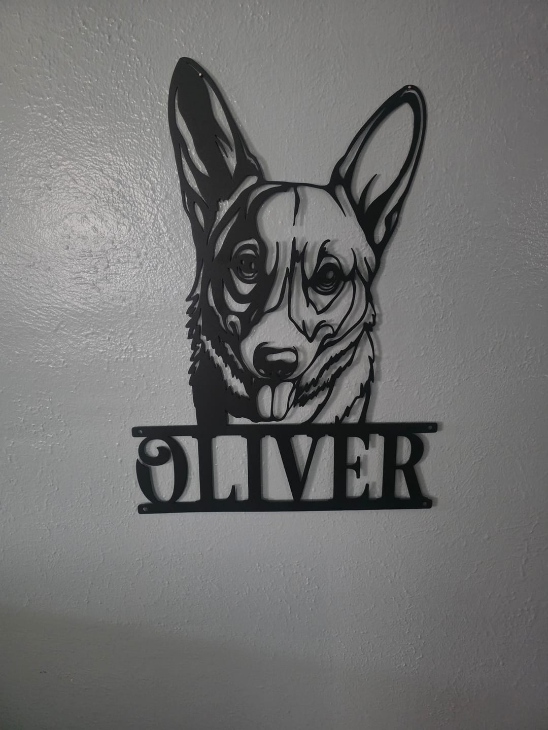 Customer photo review of Custom Dog Portrait Metal Sign