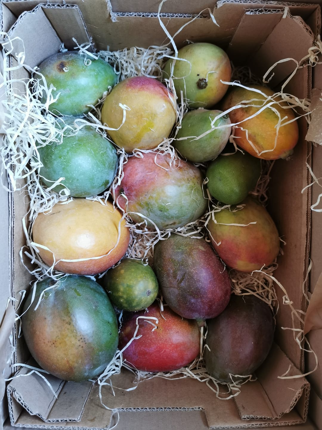 Customer photo review of Mango Irwin Edelsorte Bio von Julian Aktionswoche %