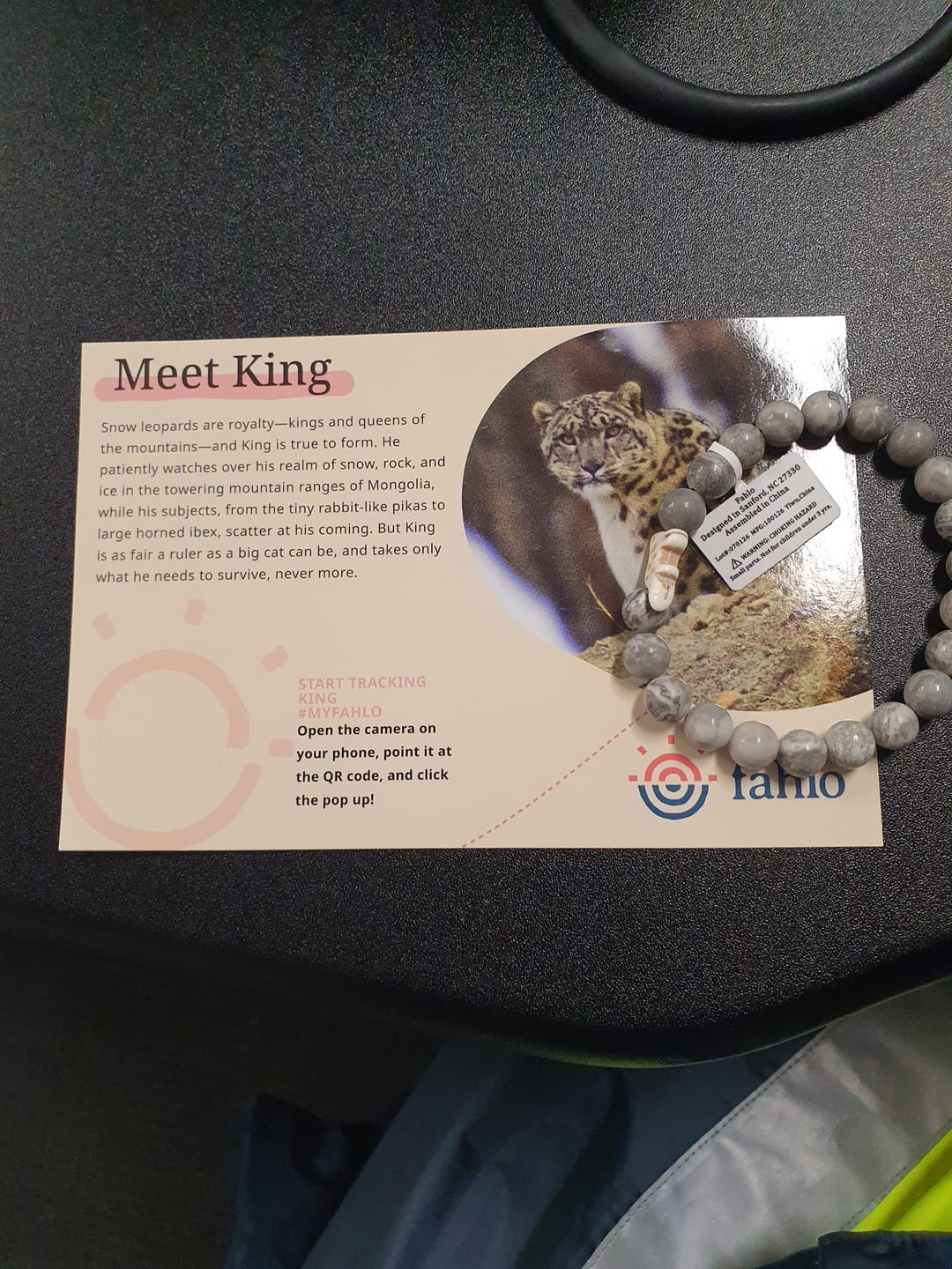 Customer photo review of The Ascent Bracelet