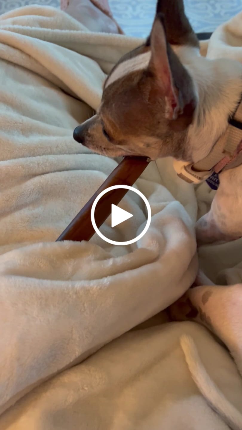 Customer video review of Wholly Pup Gift Card