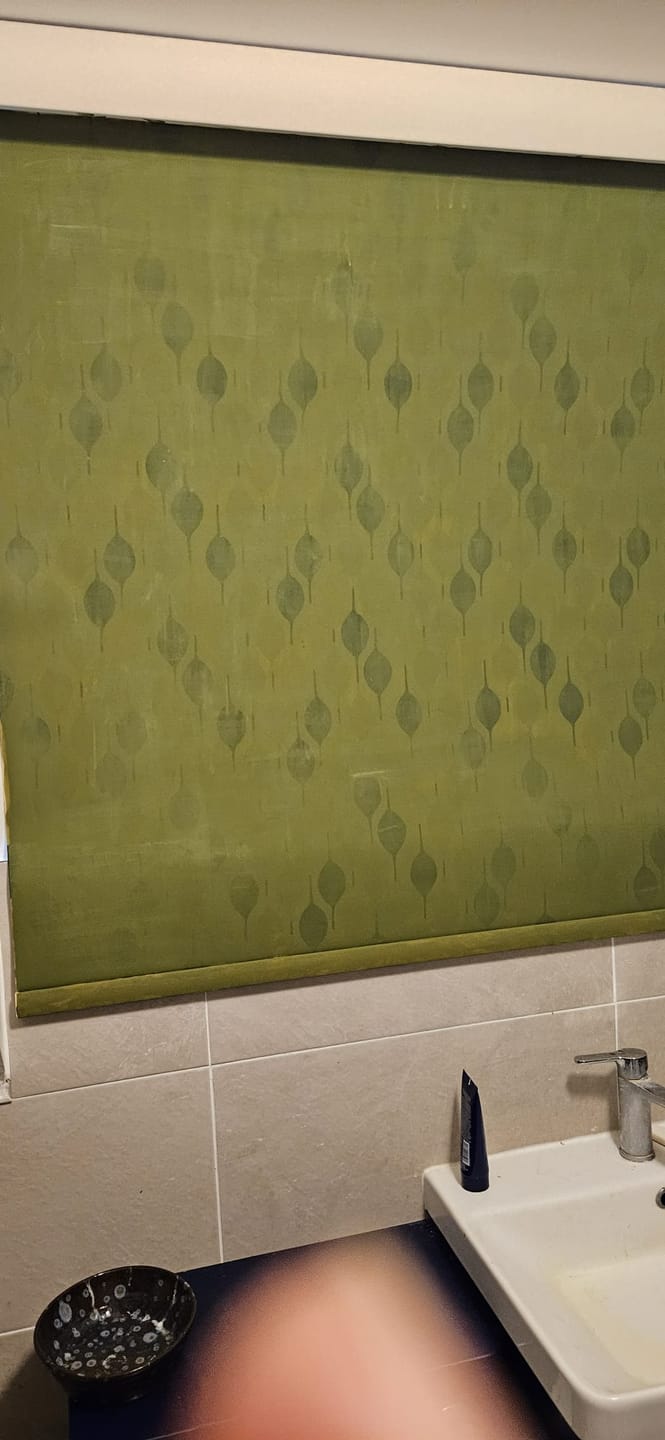 Customer photo review of Fabric Paint -- Olive