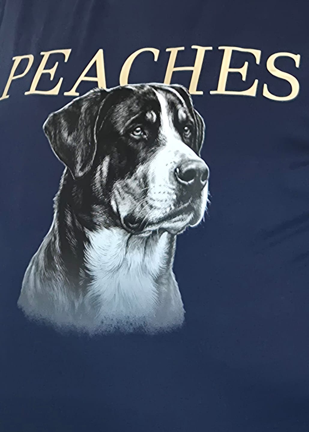Customer photo review of Personalisiertes Van Gogh The Starry Night Premium T-Shirt mit Hund