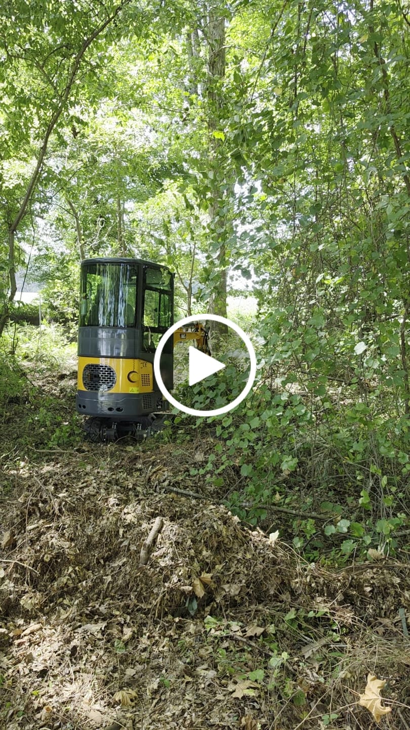 Customer video review of MS12P Mini Excavator B&S Engine, with Cab,Side Swing Boom and Hydraulic Thumb