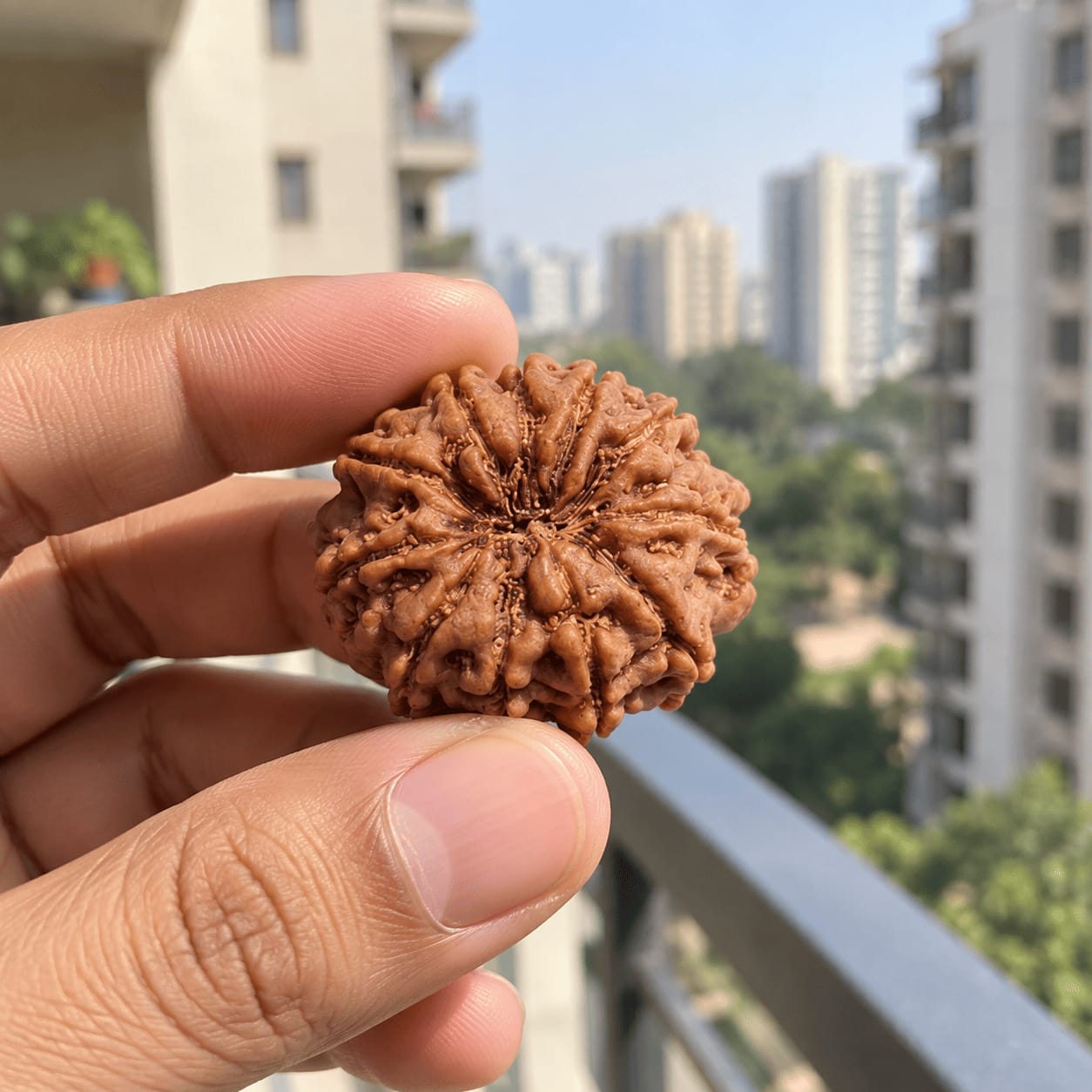 Customer photo review of 11 Mukhi Rudraksha (Nepali)