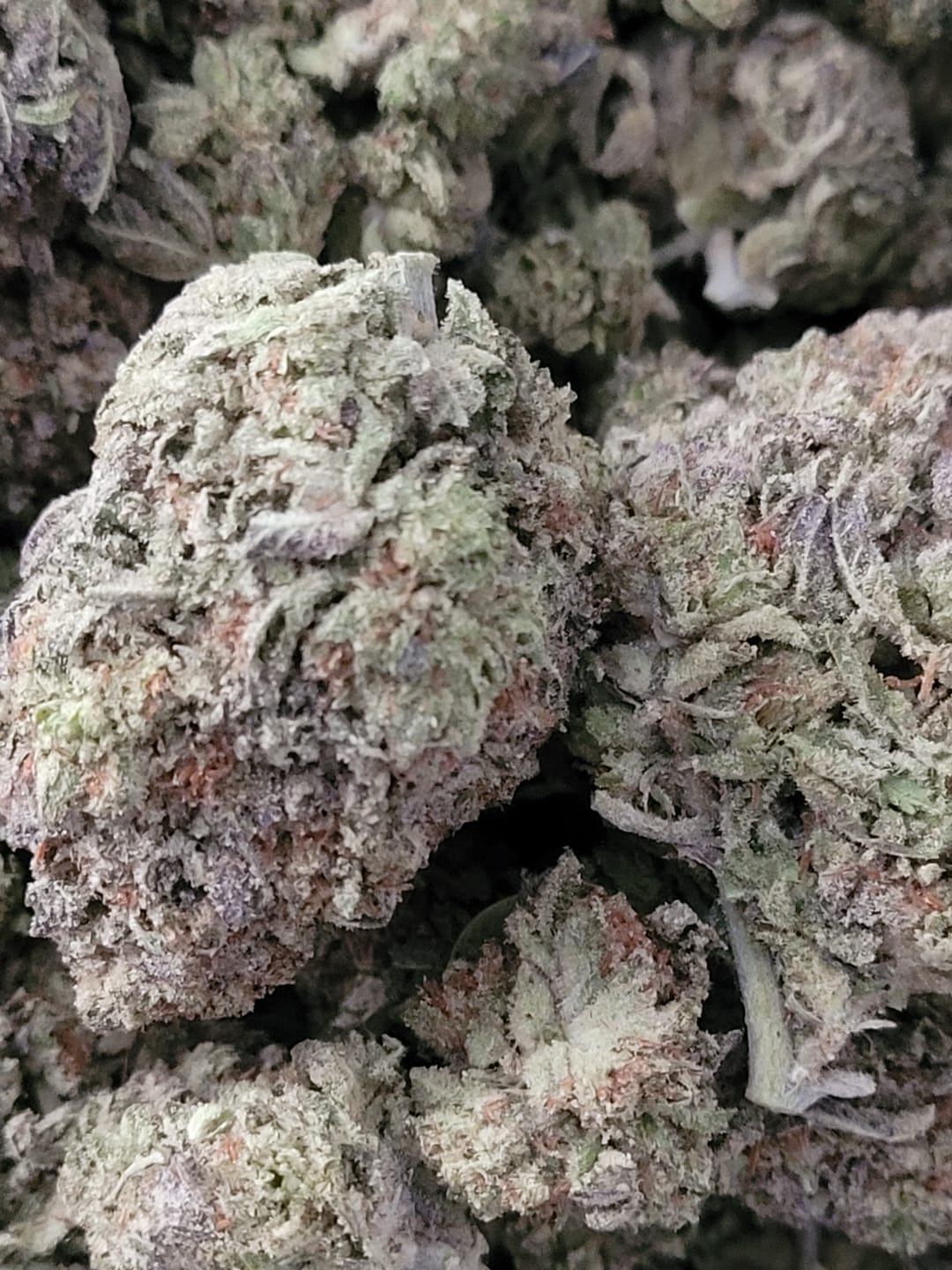 Customer photo review of Jet Fuel Gelato x Peach Rings - Bulk - Hybrid