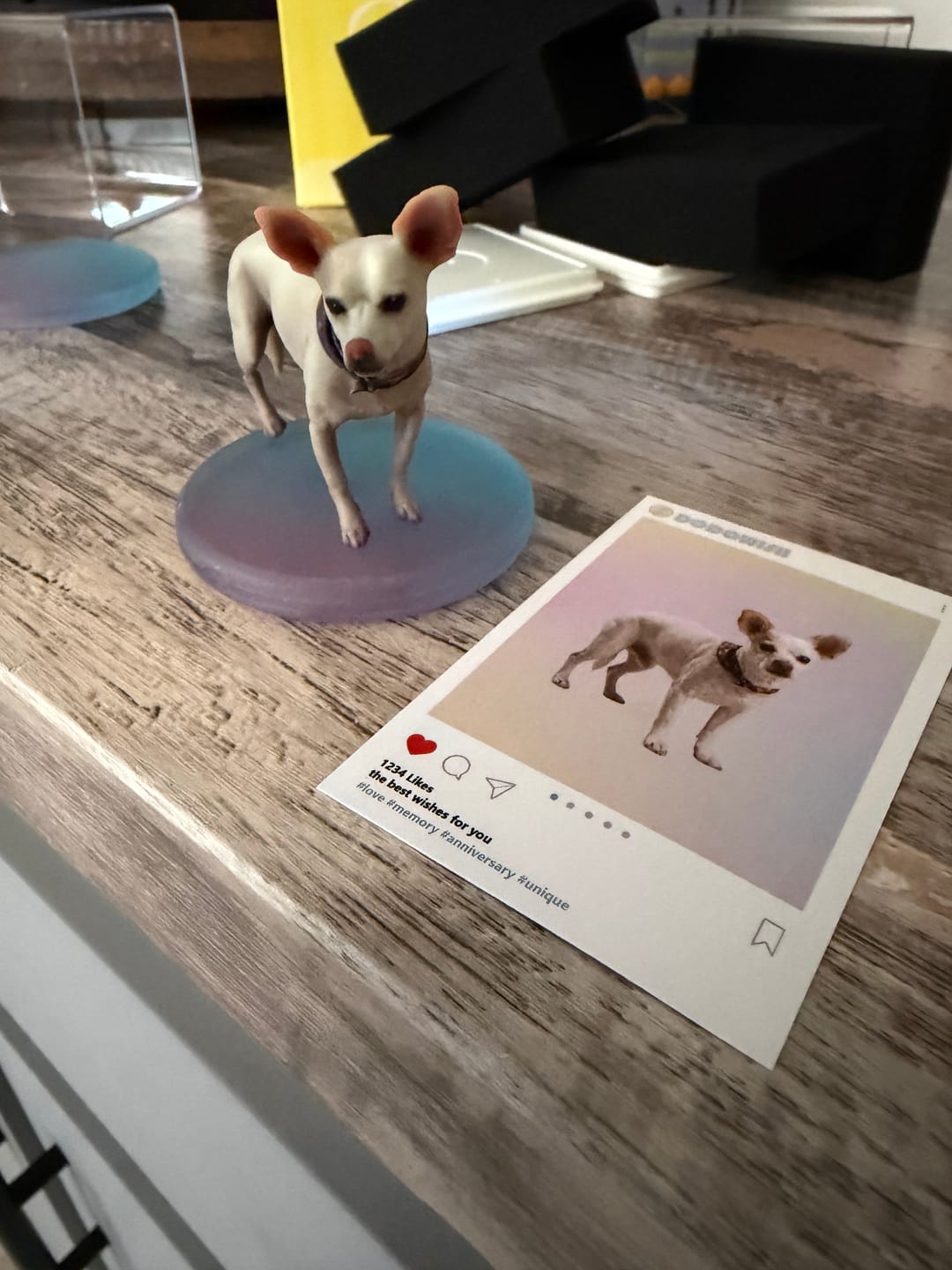 Customer photo review of Dust-Proof Acrylic Display Case