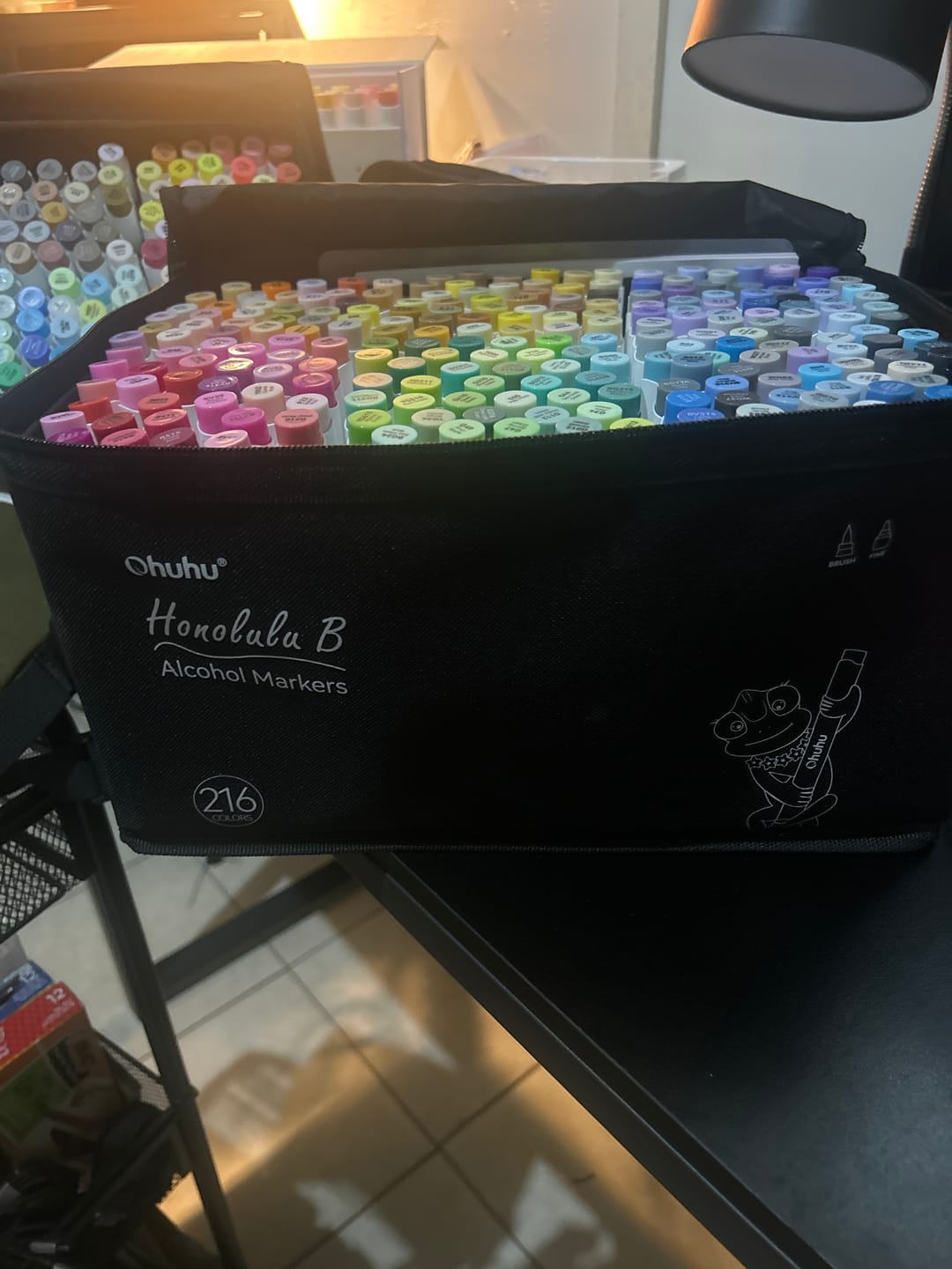 Customer photo review of Ohuhu Honolulu 216 Colors Dual Tips Alcohol Art Markers (New Color Codes)