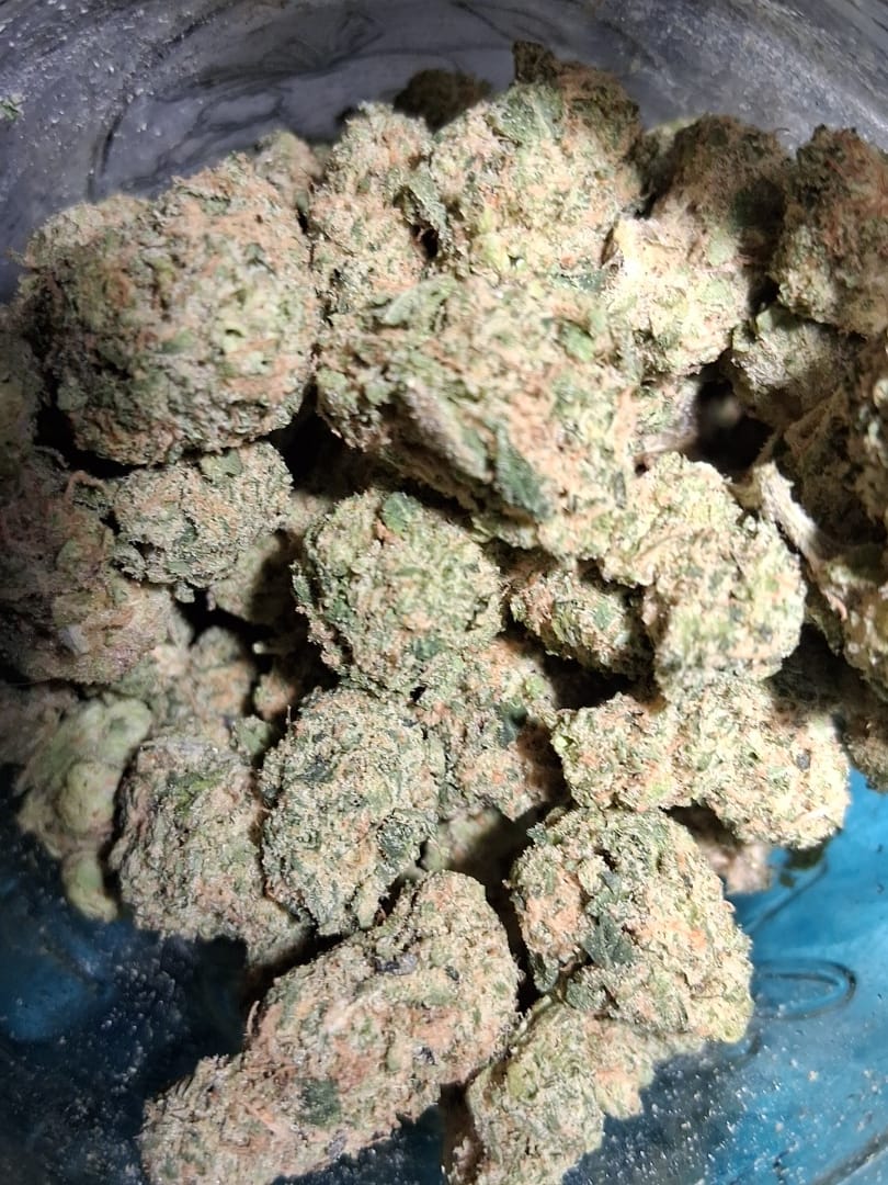 Customer photo review of Biscotti THCA Flower (Budget)