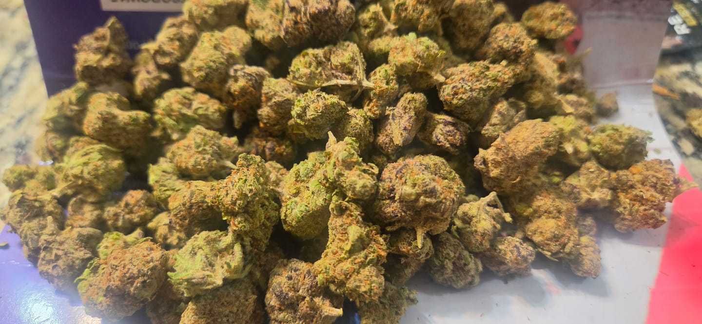 Customer photo review of Purple Lantz THCA Flower