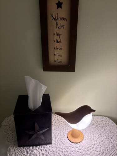 Customer's Glow Bird light illuminated on a white lacy table next to a tissue box.