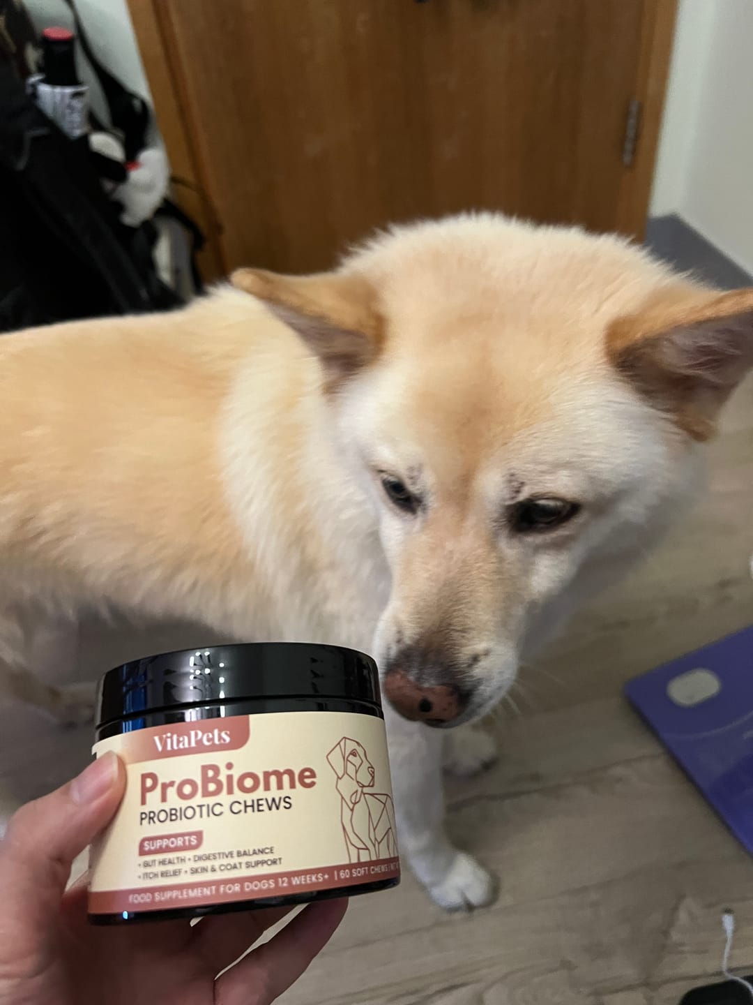 Customer photo review of ProBiome™狗狗益生菌軟粒