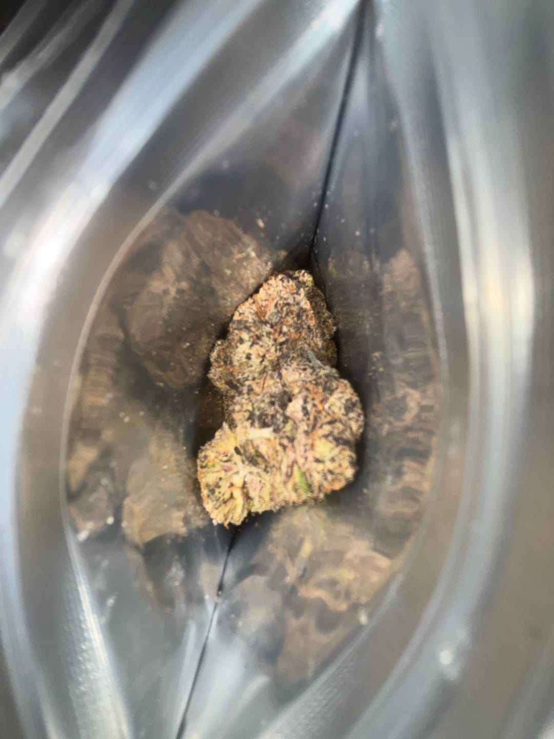 Customer photo review of Galactic Warheads Exotic THCA