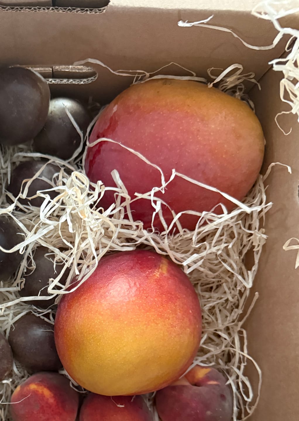 Customer photo review of Mango Irwin Bio von Jaime Aktionspreis %