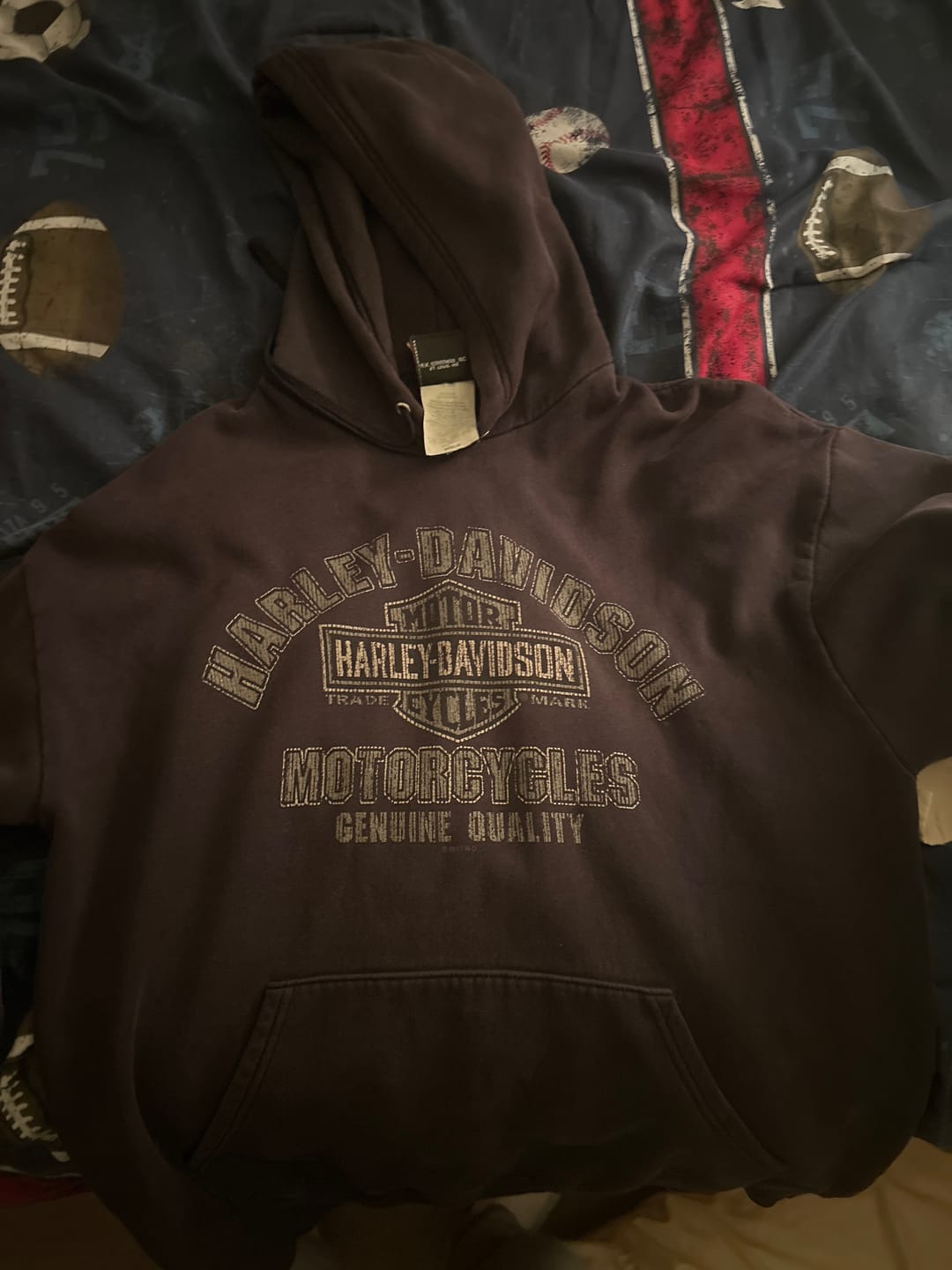 Customer photo review of Vintage 17' Faded Black Harley Davidson Yellowknife Canada Hoodie (L/XL)