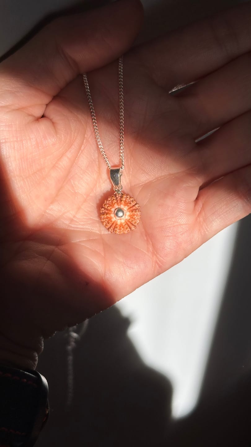 Customer photo review of Colgante Erizo Rosa Natural Pequeño