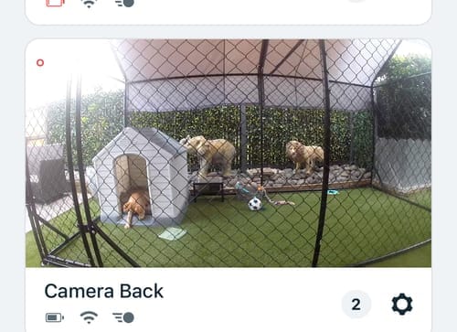 Customer photo review of Aegis Outdoor Dog Run With Roof Cover - 196x389x230cm