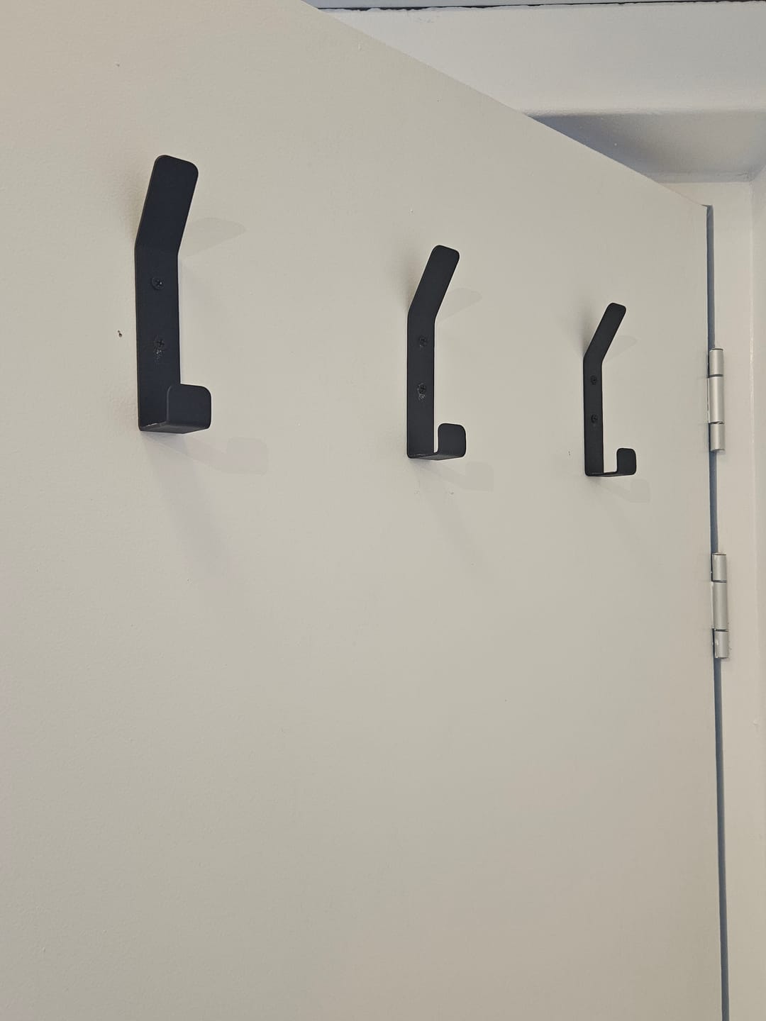 Customer photo review of TiltHook Metal Hangers