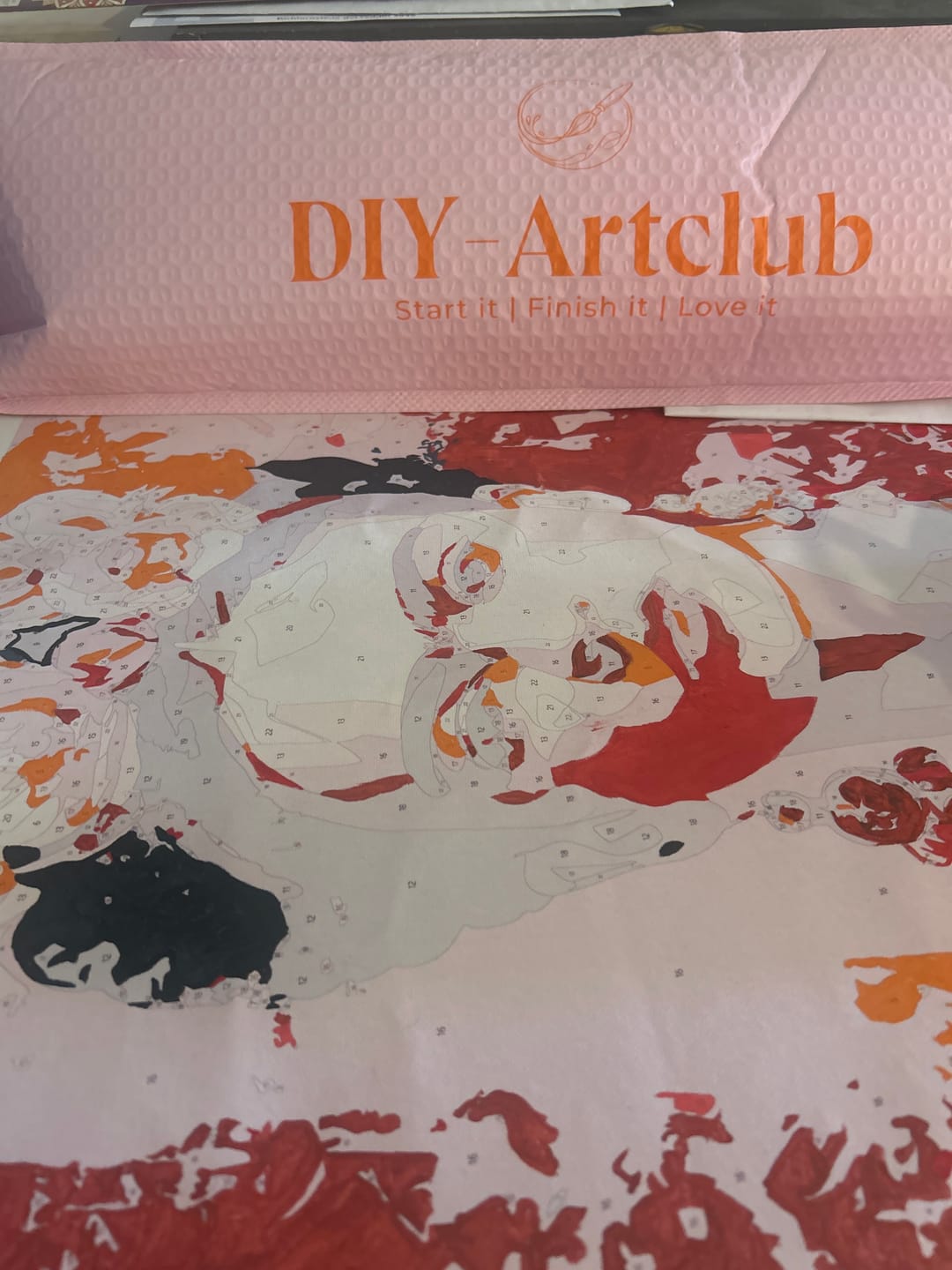 Customer photo review of Bubblegum Frida | Paint by Number