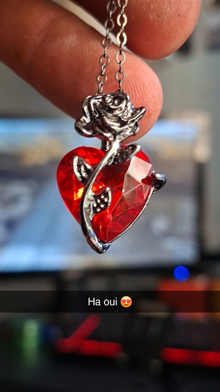 Customer photo review of Blood Rose Necklace
