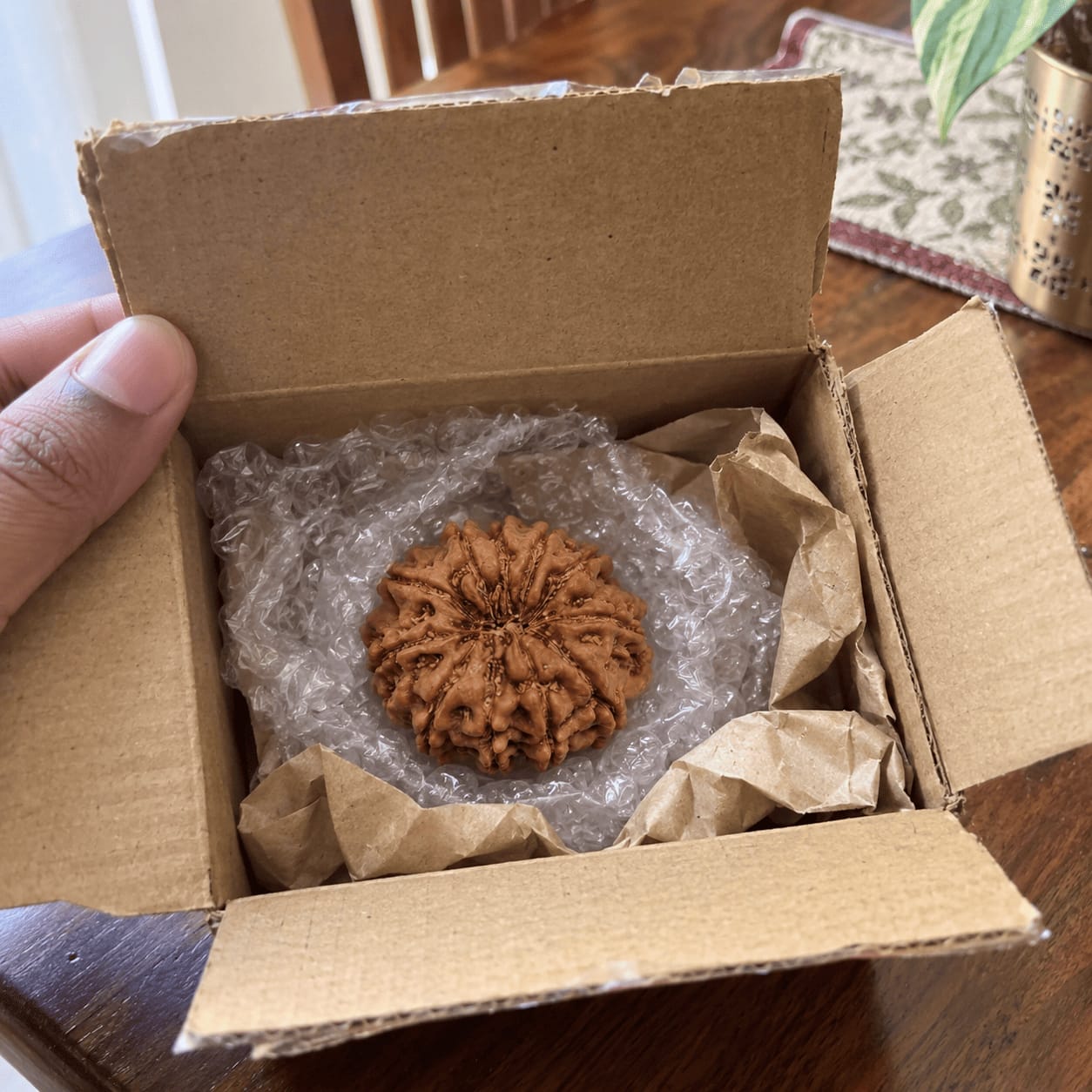 Customer photo review of 11 Mukhi Rudraksha (Nepali)